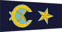 AIGP insignia