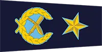 AIGP insignia
