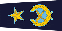 AIGP badge