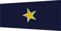 asi badge