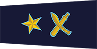 dsp badge