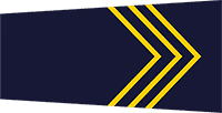 head constable badge