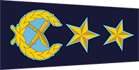 IGP Insignia
