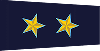 sub inspector insignia