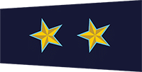 sub inspector badge